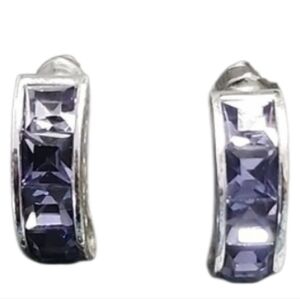 Roman Silvertone Stainless Steel Purple Crystal Earrings